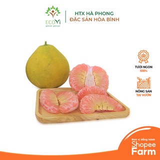 Bưởi Ruột Đỏ EcoVi  - HTX Hà Phong, Đặc Sản Hòa Bình Vị Ngọt, Mọng Nước
