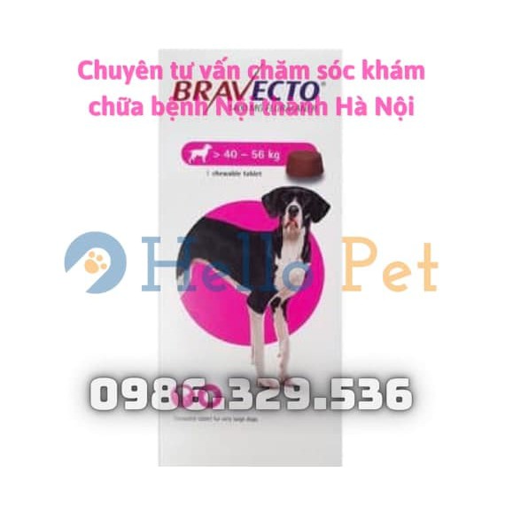 [BRAVECTO] Viên nhai dành cho chó