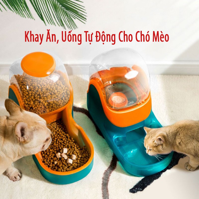 Khay đựng tự động đồ ăn đồ uống cho chó mèo tiện lợi nhựa abs an toàn - YEUPET