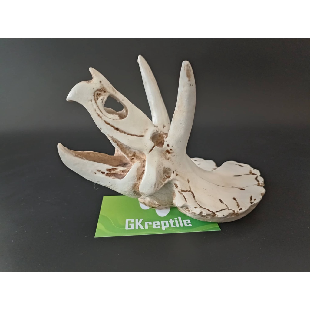 Mô hình trang trí sọ khủng long cho chuồng nuôi