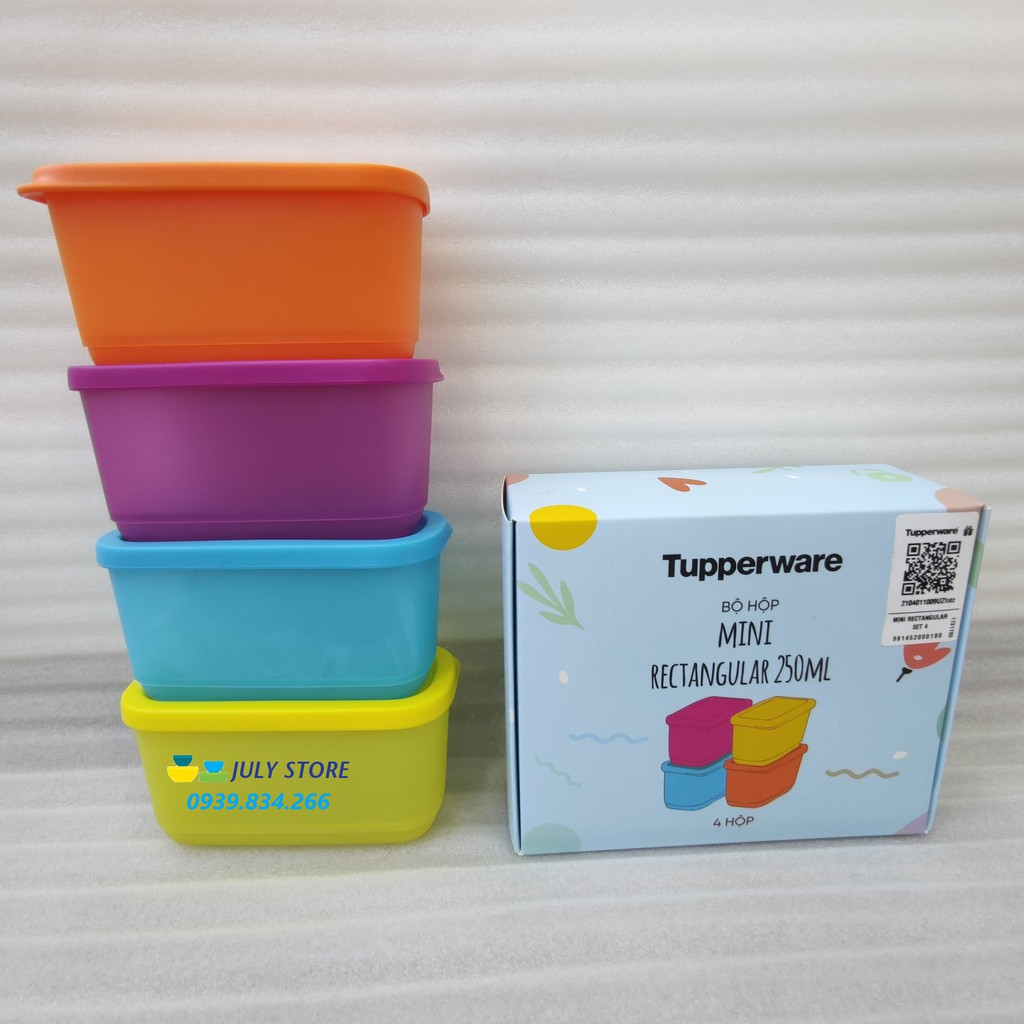 Tupperware 💕Freeship💕 Tupperware trữ mát, trữ khô Small Summer 650ml / Rounstax đa năng | BigBuy360 - bigbuy360.vn