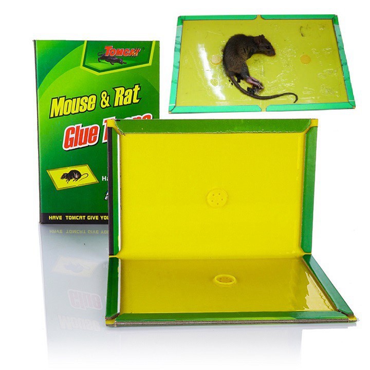 KEO BẮT CHUỘT - KEO DÍNH CHUỘT CAO CẤP CÓ THỂ TÁI SỬ DỤNG