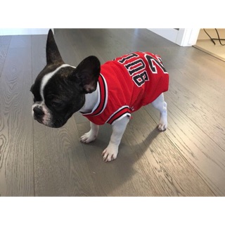 Áo thun lưới Logo Bulls 23 dành cho Couple Sen - Boss 😁😁