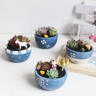 Chậu gốm sứ mini trồng cây cảnh nhỏ