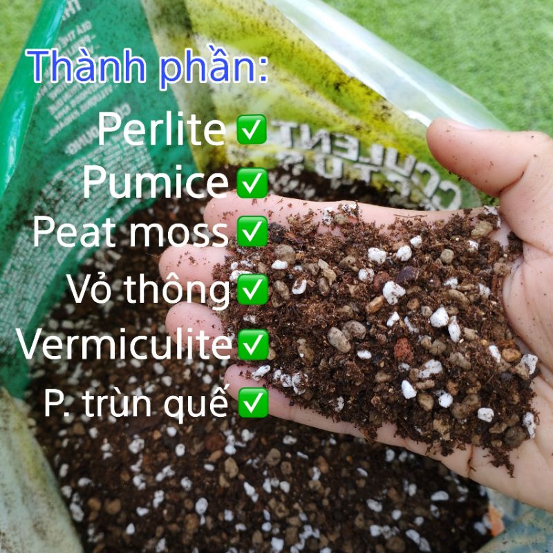 Đất Trồng Sen Đá, XR Soil Mix Túi 6 Kg