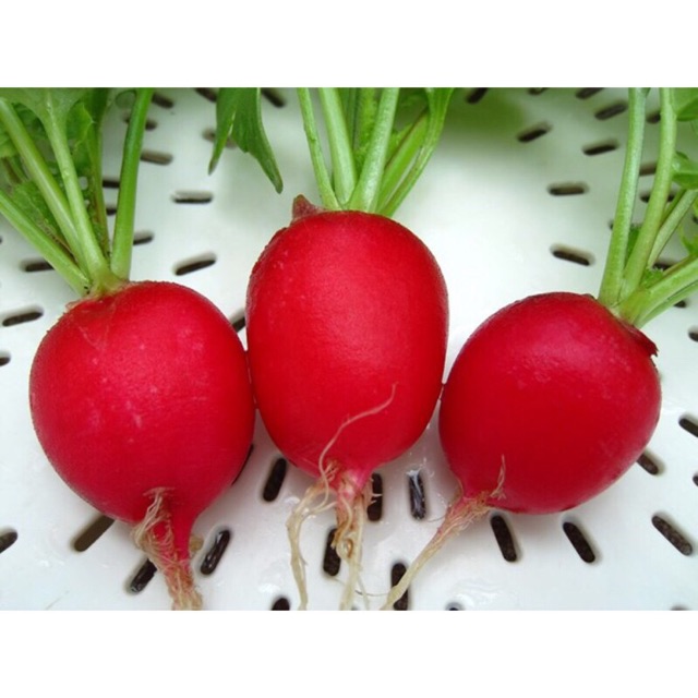 Hạt giống củ cải tròn màu đỏ (rất dễ trồng)