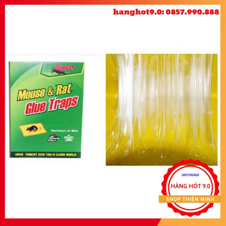 Combo 10 miếng dính chuột cao cấp