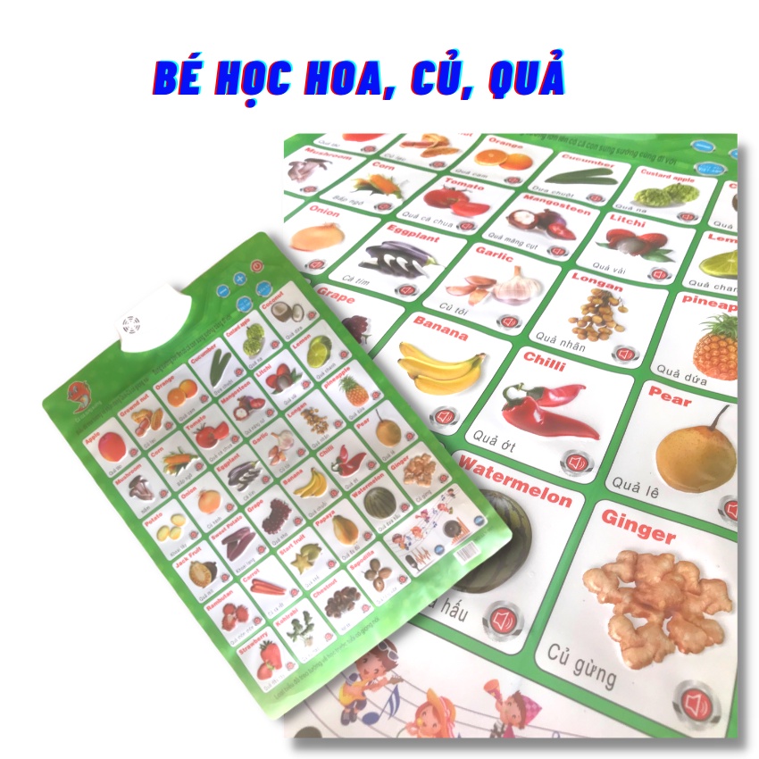 [Combo 4 Bộ+Tặng Pin]Bảng Chữ Cái Điện Tử Vàng, Thêm 3 Chủ Đề Thông Minh, Biết Nói, Bảng Học Chữ Tiếng Việt ZOLY SHOP