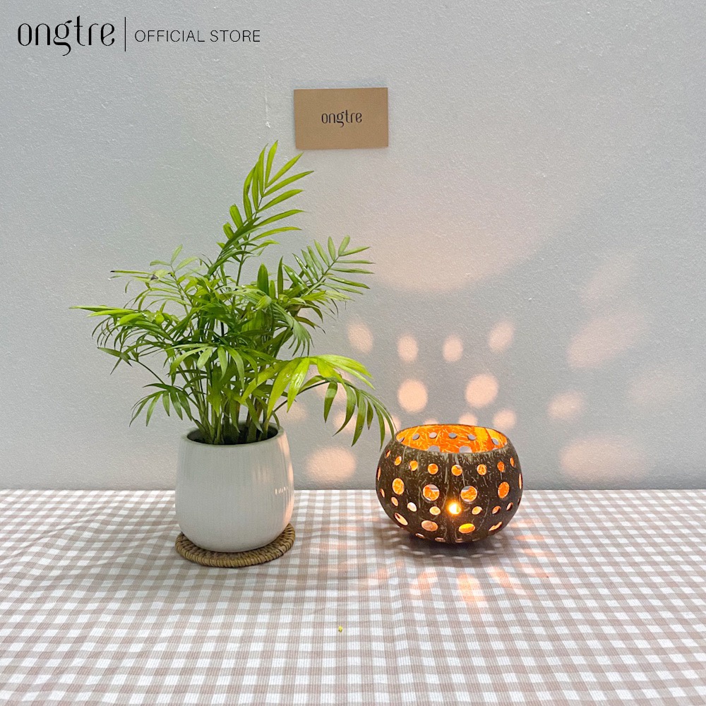 Chén gáo dừa đựng hành tỏi giúp bảo quản chống ẩm, mốc - ONGTRE