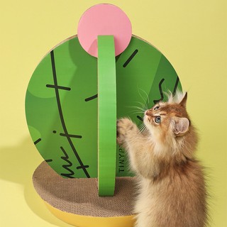 cào móng mèo cao cấp Tinypet + catnip. cây xương rồng và thuyền