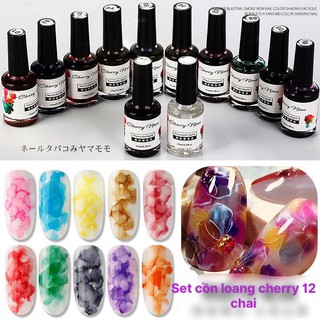 Set cồn loang cherry 12 chai