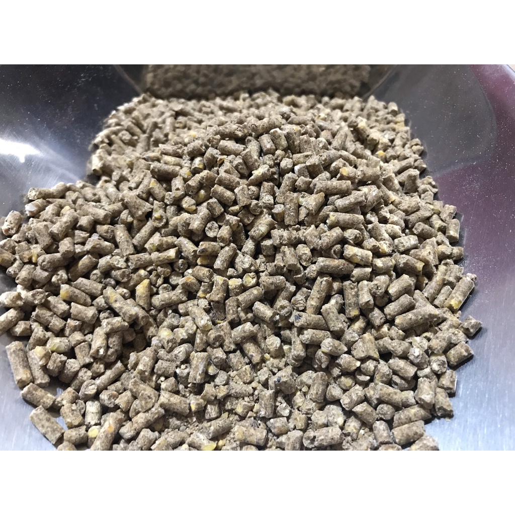 Cám Gà Con - Cám Gà Đẻ | Thức ăn hỗn hợp cho gà con, gà đẻ, gà thịt