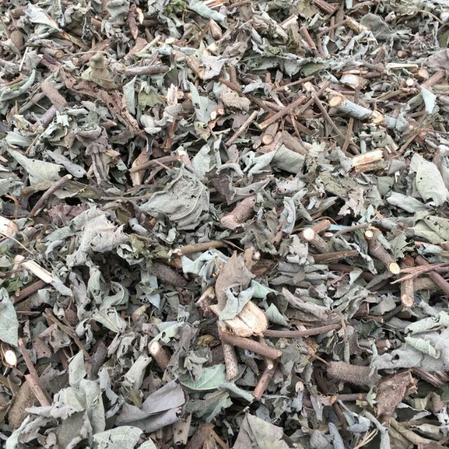 [FREESHIP 99K TOÀN QUỐC]Cây An Xoa (cây tổ kén) gói 1kg