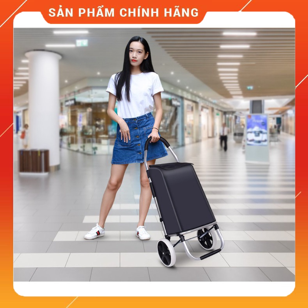 Xe Đi chợ , Siêu Thị, Đi Chợ Có Giỏ Hàng Siêu đẹp cho các bà, các mẹ đi chợ - XDC01