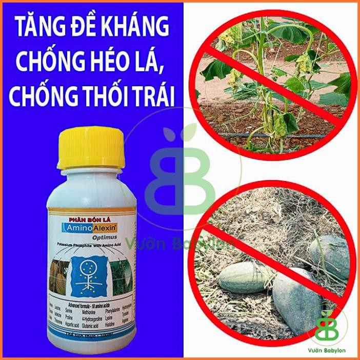 (NEW) Amino alexin - Phân Bón Lá Bổ Sung Các Loại Axit amine Tạo Mầm Hoa, Chống Thối Trái Cho Cây 100ml