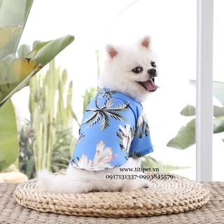 Áo Sơ Mi Cho Thú Cưng Siêu Cưng ♥️