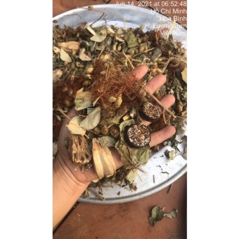1kg Lá sỏi thận, sỏi mật, sỏi bàng quang, sỏi niệu quản