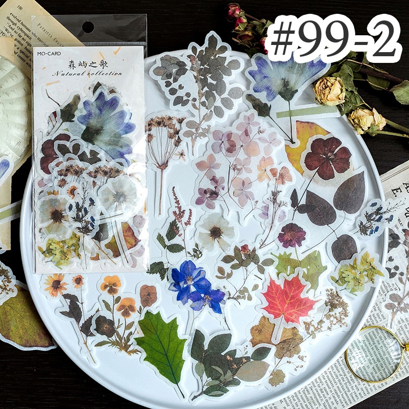Sticker hoa lá cổ điển trang trí Scrapbook, sổ tay, vở  (set 60 stickers) - [ 099 ]