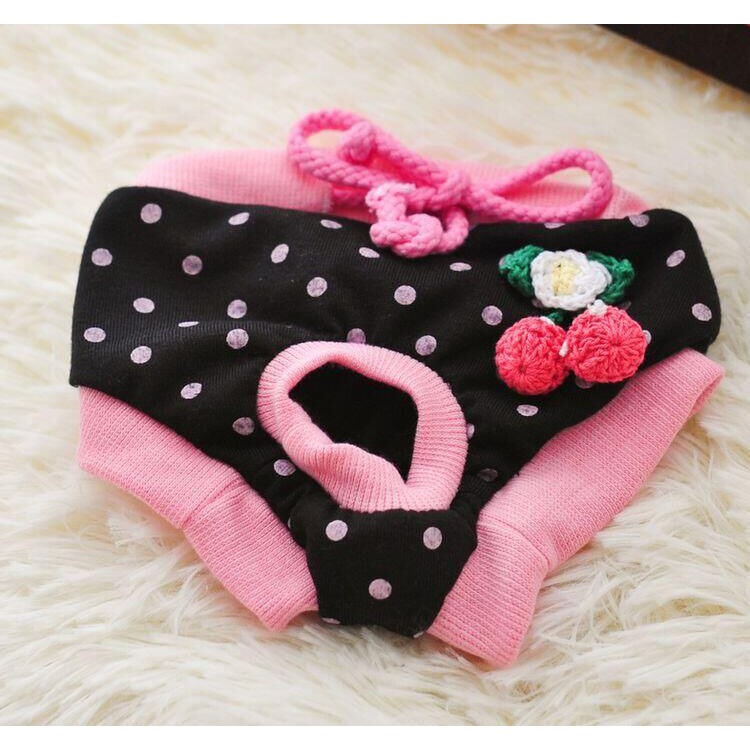 quần chip hình cute cho bé chó
