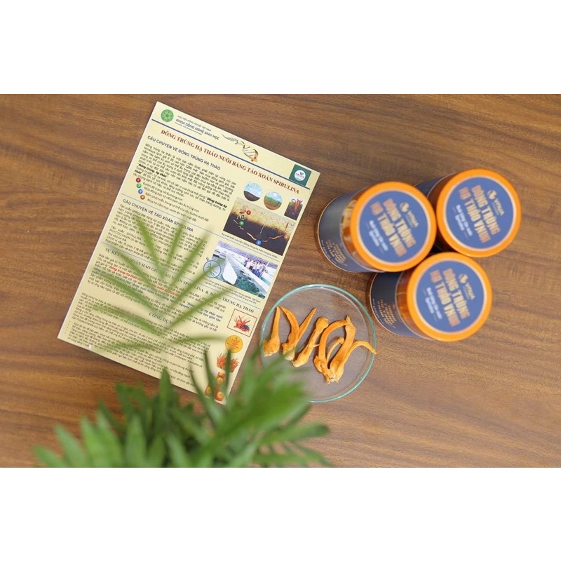 Đông Trùng Hạ Thảo Khô Cao Cấp từ tảo xoắn Spirulina hoopi 10g - Sản phẩm nghiên cứu của Học viện nông nghiệp Việt Nam