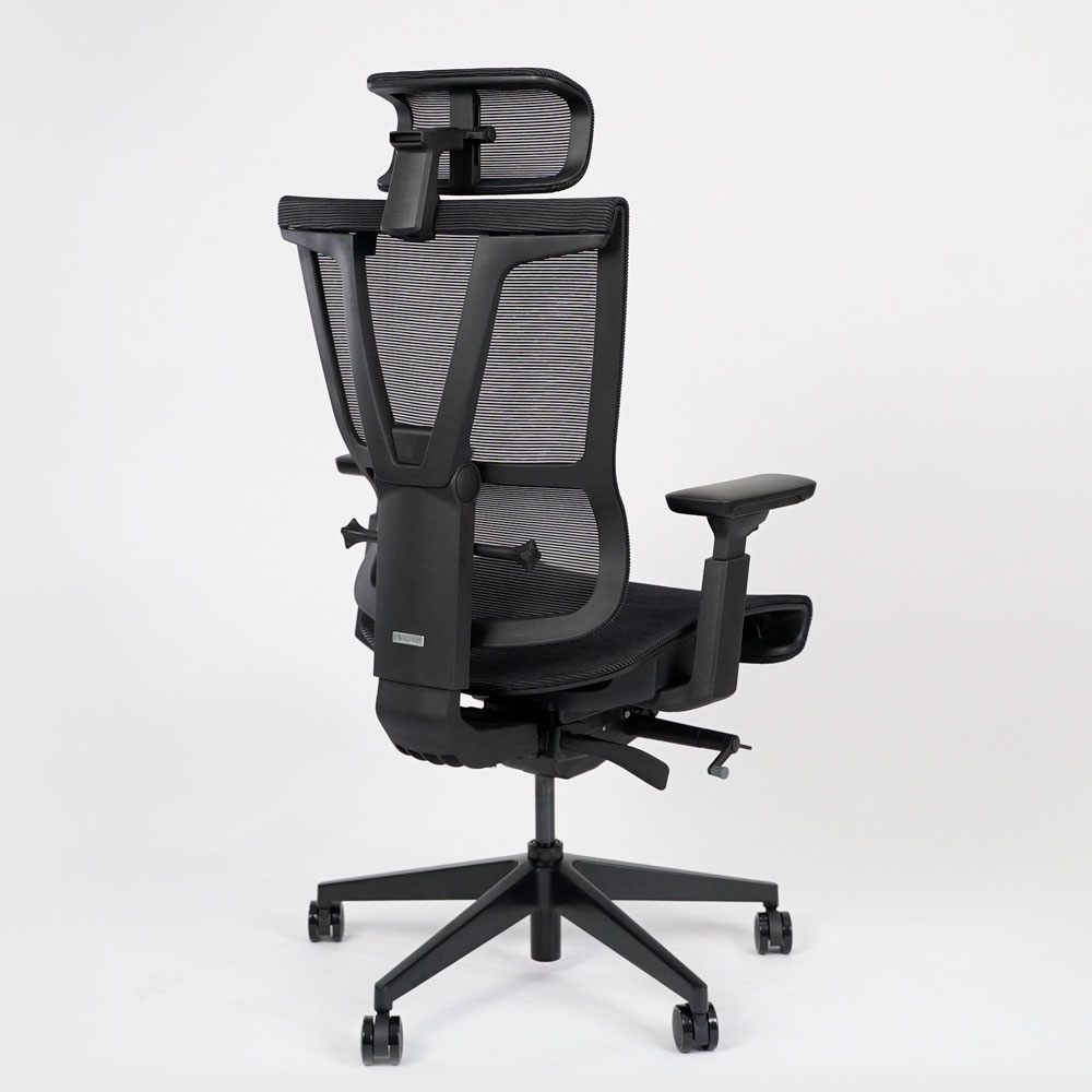 Ghế công thái học ergonomic Epione ErgoChair Pro (Cool Gray / Dark Gray / All Black) (Hàng chính hãng)