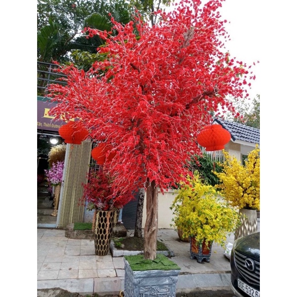 Cành hoa Anh Đào râu giả vải tàu- Dài 110cm-Bông to, cánh đẹp-hoa trang trí