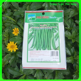 Hạt Giống Đậu Cove Hạt Trắng  Dạng Bụi  (Cove-03) Phú Nông- Gói 10g - Bean Cora White Seed, Pole Type