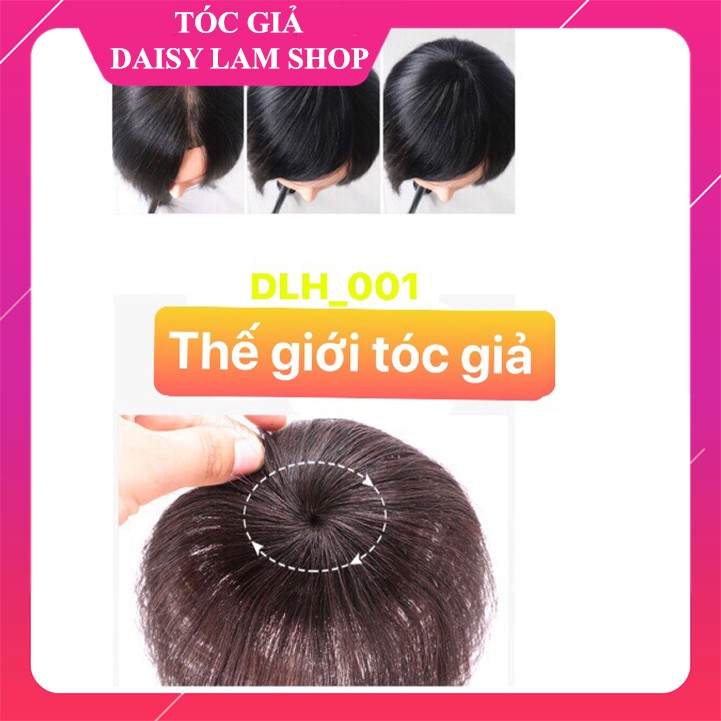 TÓC GIẢ CHE HÓI 15cm DLH_001