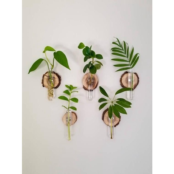 🪵Lát Gỗ 3cm~ 5cm Chụp Hình, Trang Trí🍂🍁