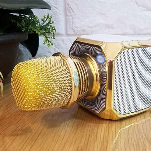 Siêu phẩm SD10: Micro kiêm loa bluetooth không dây- phòng karaoke thu nhỏ cho mọi nhà siêu chuẩn