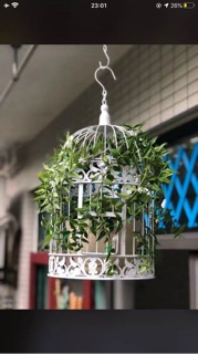 Lồng chim để hoa trang trí