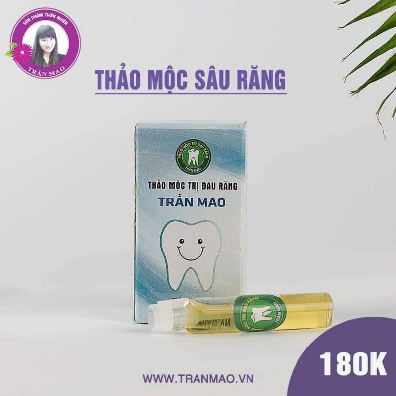 THẢO MỘC SÂU RĂNG TRẦN MAO