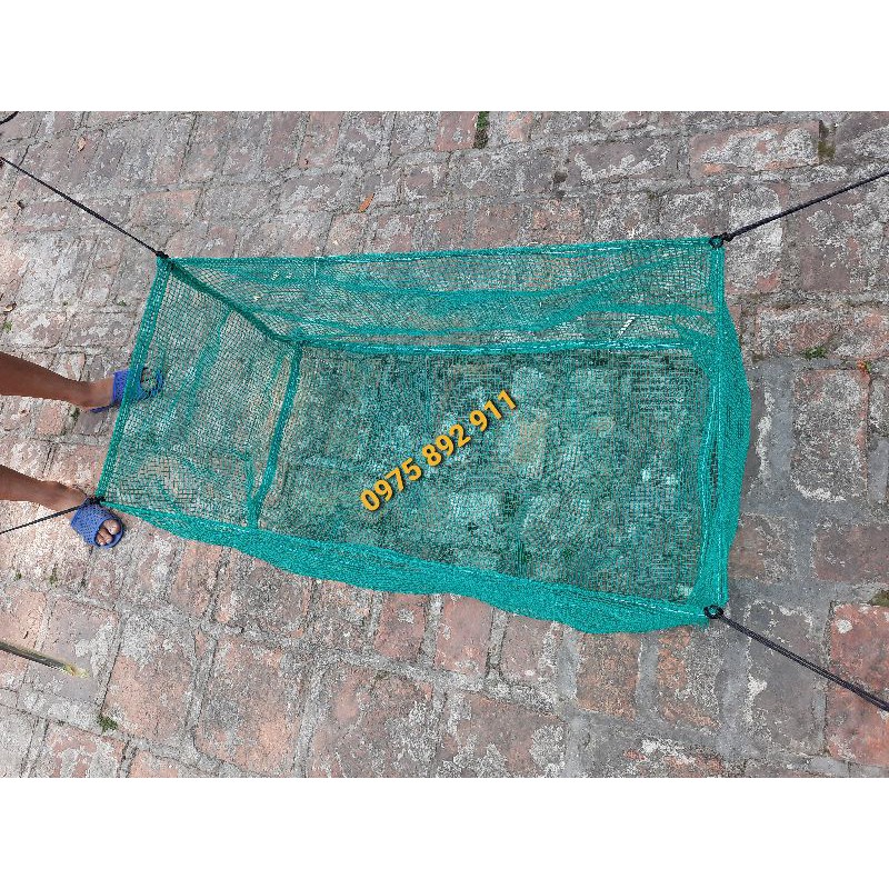 TRÁNG LỌC ỐC NHỒI GIỐNG