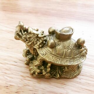 rùa đầu rồng dài 5cm