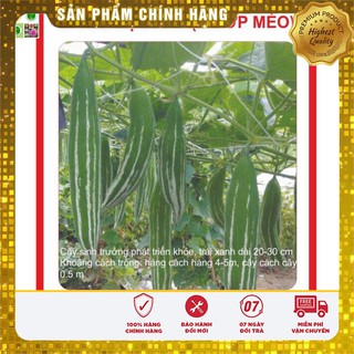 Hạt Giống Lặc Lày (Mướp Nhật) 2gr [Bán Sỉ]