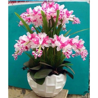 Combo nguyên liệu làm1 lọ  hoa pha lê