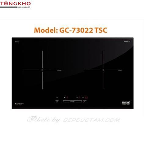 Bếp từ Giovani GC-73022 TSC