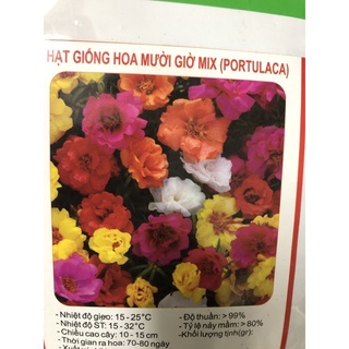 Hạt giống Hoa mười giờ Mix (Portulaca) 💐