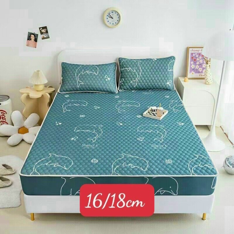 CHIẾU ĐIỀU HÒA CAO SU NON LATEX 3D MẪU BO CHUN hàng loại 1 dày 2kg trở lên tongkhodochoi.12