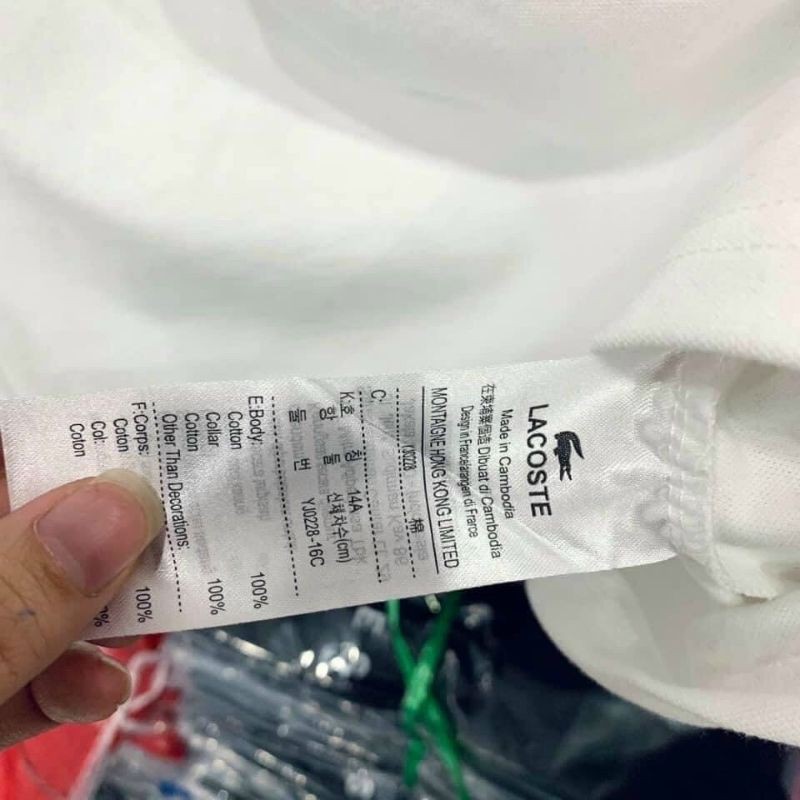 Áo Polo Trắng Cá Sấu Cổ Than Viền Đỏ dành cho Nữ_Tổng Kho Thu Nguyễn | BigBuy360 - bigbuy360.vn