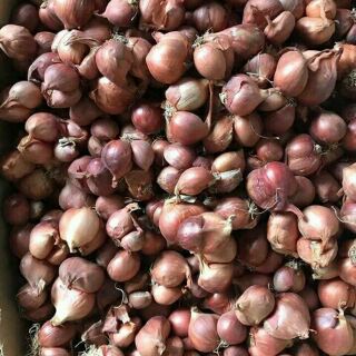 1KG HÀNH PHI THƠM NGON GIÒN TAN