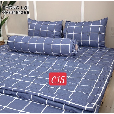 Vỏ gối cotton Thắng Lợi chính hãng ( gối nằm - gối ôm ) [ảnh thất 2]