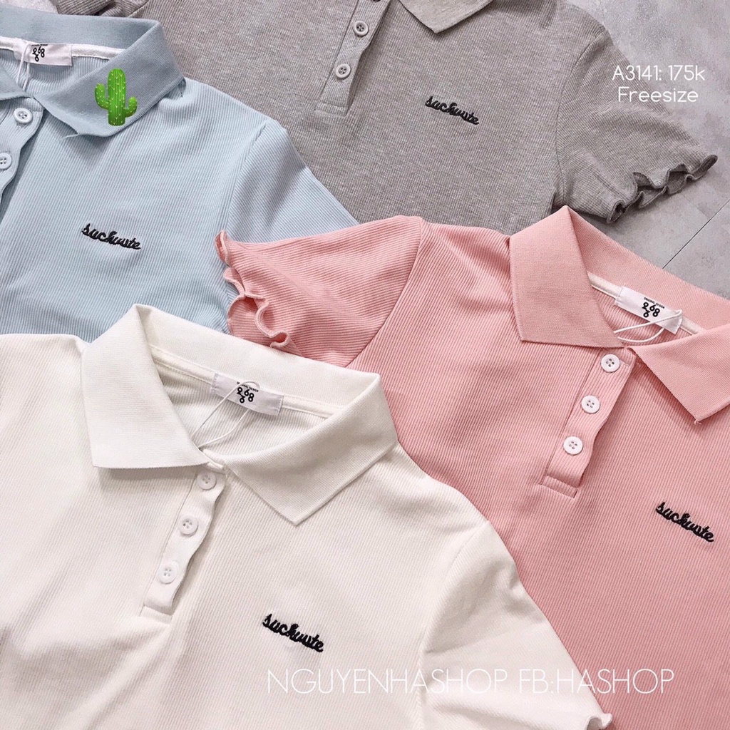 [Dưới 50kg] Áo thun gân polo đính nút tay ngắn lai cuốn biên Pc