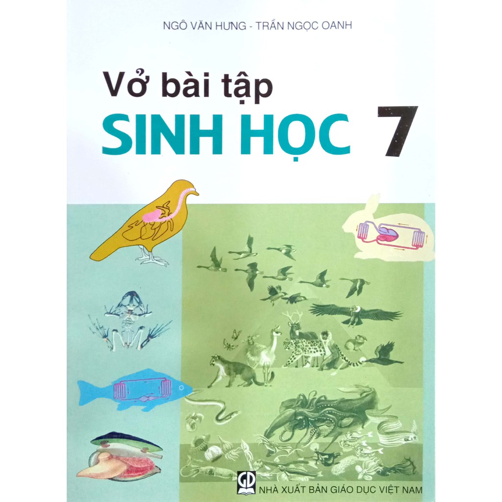 Sách - Vở bài tập Sinh học 7