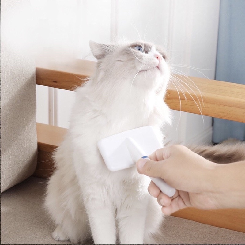 Lược chải lông thú cưng loại bỏ lông rối, giúp lông mềm mượt