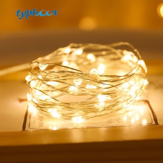Đèn Đom Đóm Decor, Đèn LED Trang Trí 2m DN2M