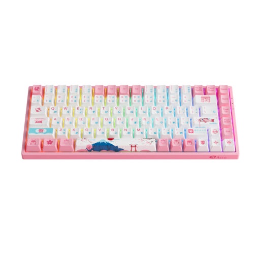 Bàn phím cơ AKKO 3084B Plus World Tour Tokyo R2