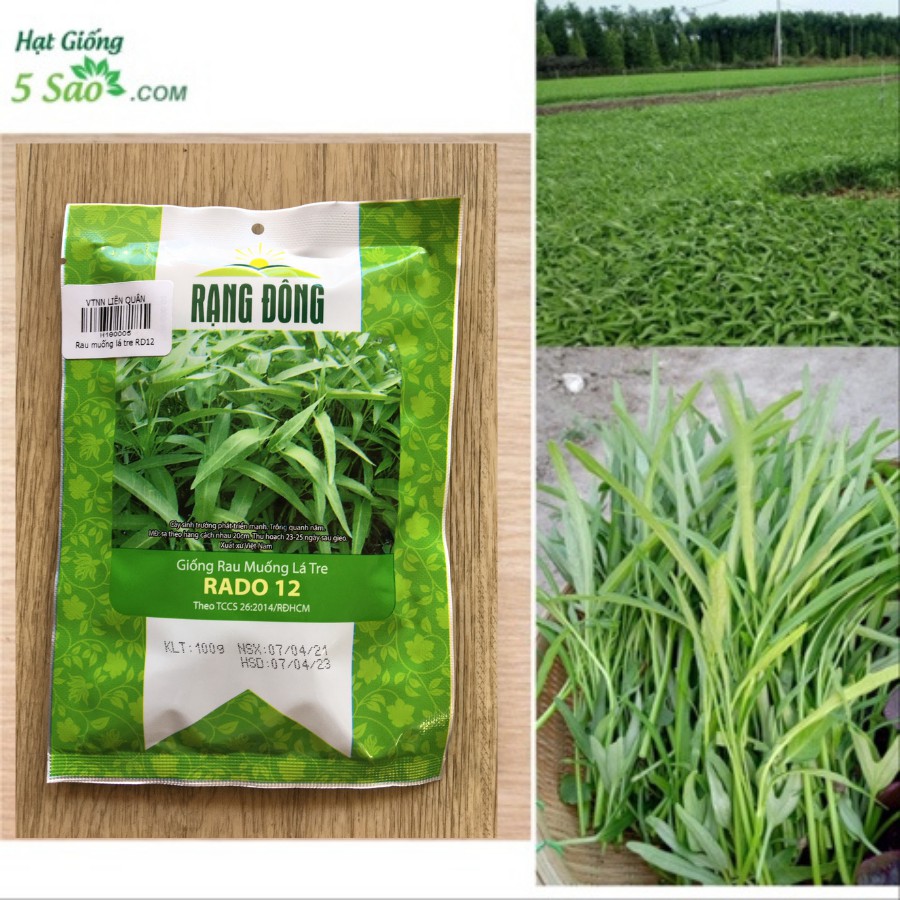 Rau Muống Lá Tre RĐ 12 - Rạng Đông