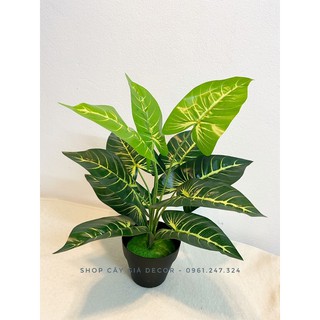cây lá sọc 40cm-12 lá - cây nhựa pvc
