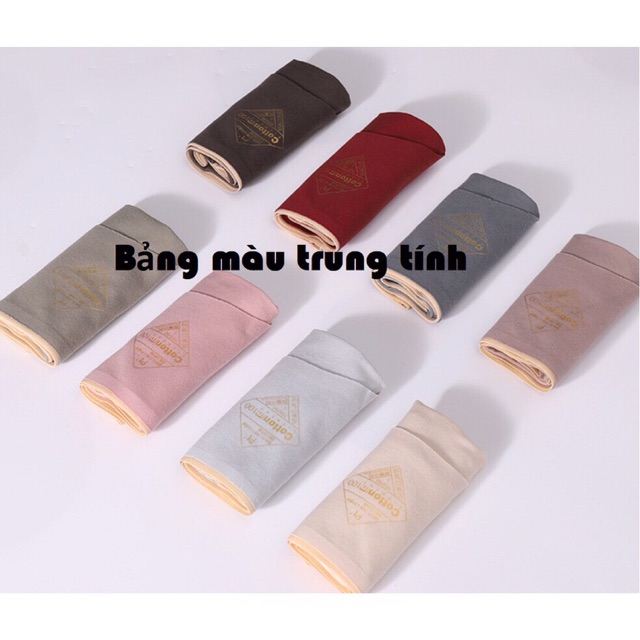 Quần lót nữ cotton ép cao cấp 8875 | BigBuy360 - bigbuy360.vn